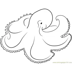 Octopus Don