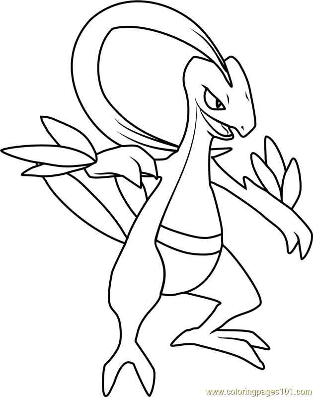 Grovyle Pokemon Coloring Page - Free Pokémon Coloring Pages