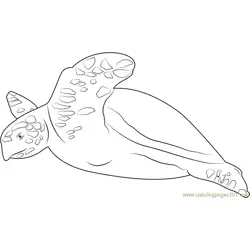 Hawksbill Free Coloring Page for Kids
