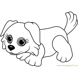 Border Collie Free Coloring Page for Kids