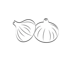 Onion 1 Free Coloring Page for Kids