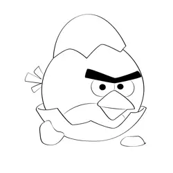 Angry Birds In Egg