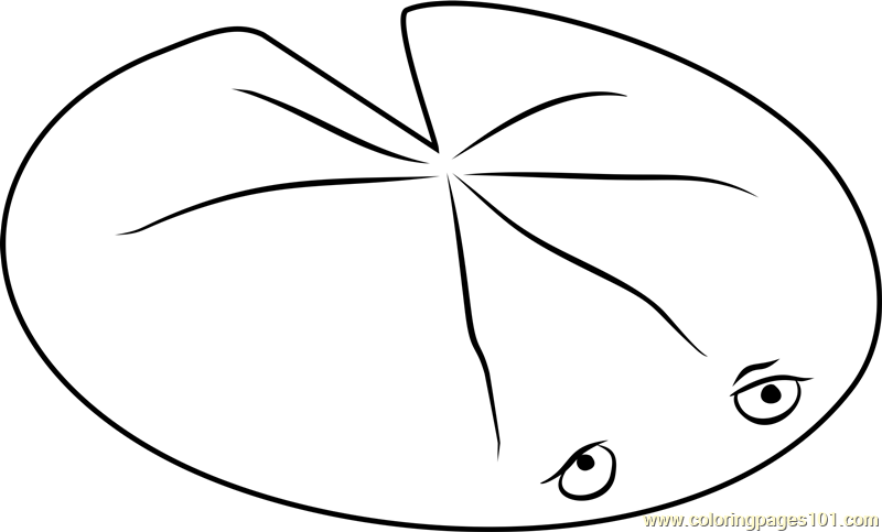 Featured image of post How To Draw A Simple Lily Pad : Also lilypad drawing simple available at png transparent variant.