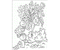 Adiboocoloring 02