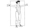 Exercise With Dumb Bells