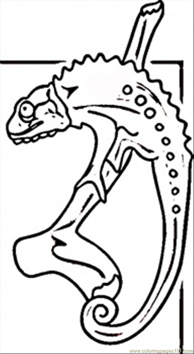 madagascar animals coloring pages - photo #39