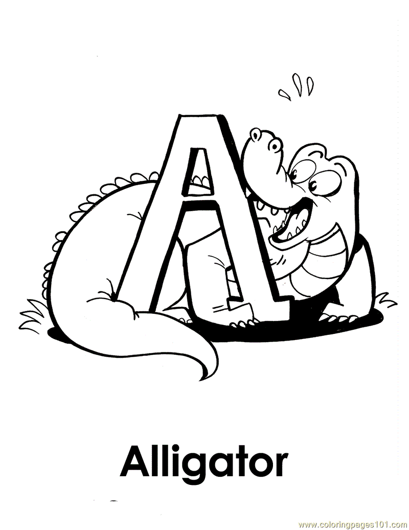 Coloring Pages A Is For Alligator Amphibians Alligators Free