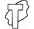 3 T