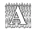Fruita