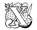 Fruitx