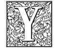 Y 