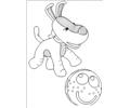 The Dog Is Playing With Ball