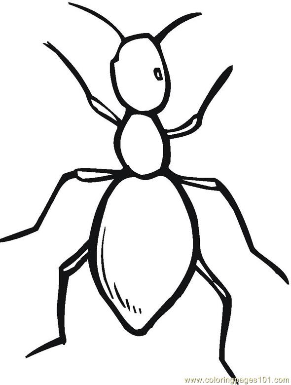 Coloring Pages Ant Insects Ants Free Printable Coloring Page Online