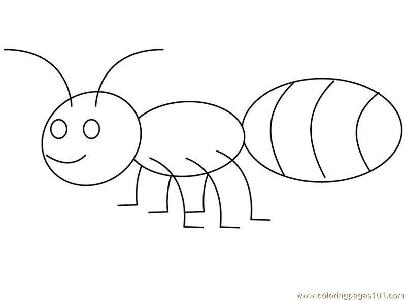 Printable Pictures Of Ants 8