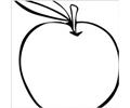 Coloring Fruit Clip Art 11324