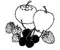 Fruit