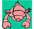 Scorpion 12