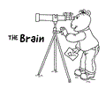 Brain Coloring