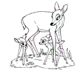 Bambi Coloring Page 17