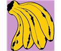 Banana 20