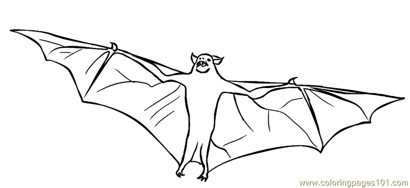 Bat Coloring Pages Minecraft Baby Coloring Pages