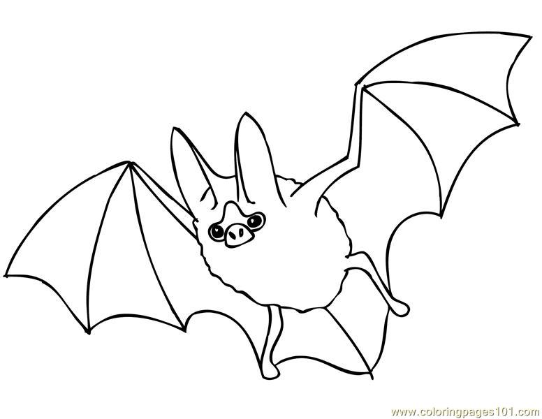 Coloring Pages Bats (Mammals > Bats) - free printable coloring page online
