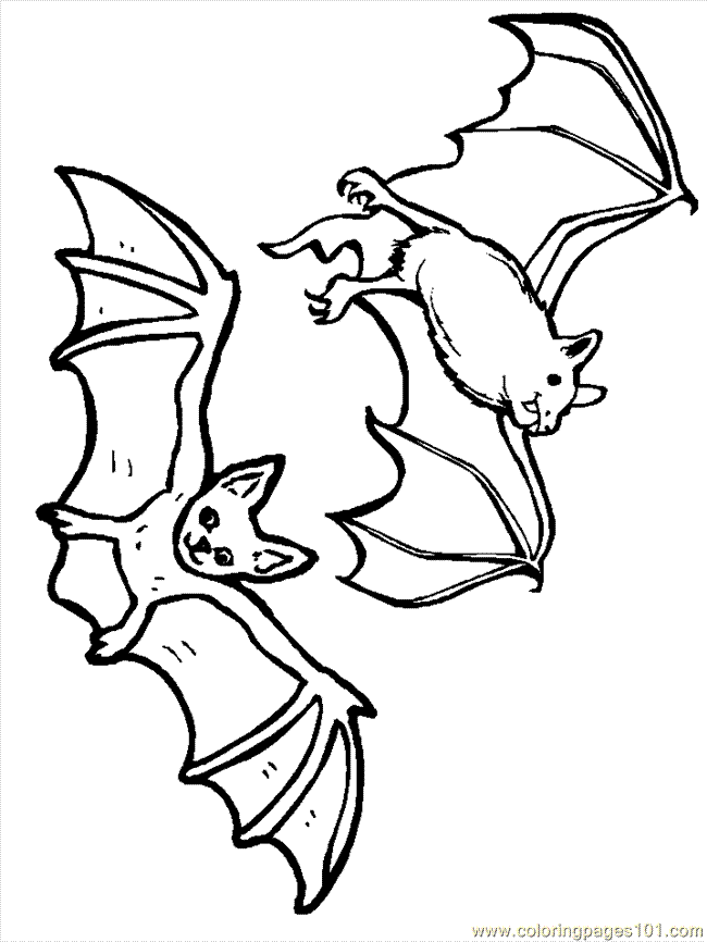 Coloring Pages Bat10 (Animals > Bats) - free printable coloring page online