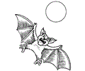 Bat Coloring 09