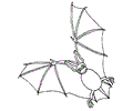 Bat Coloring  11