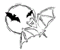 Bat Coloring 13