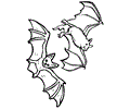 Bat Coloring 15
