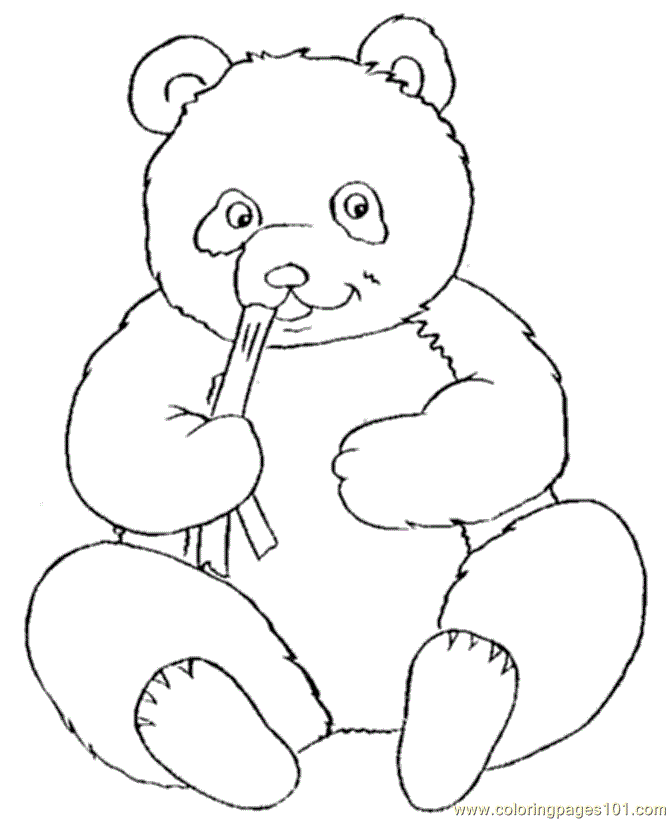 baby bear coloring pages - photo #8