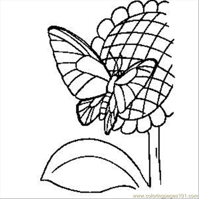Coloring Pages Butterfly On Flower (Insects > Beautifull Butterfly
