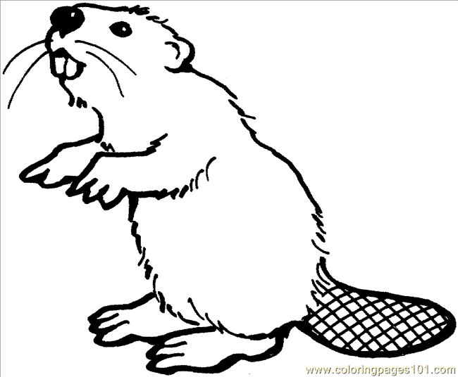 beaver-printable-coloring-pages