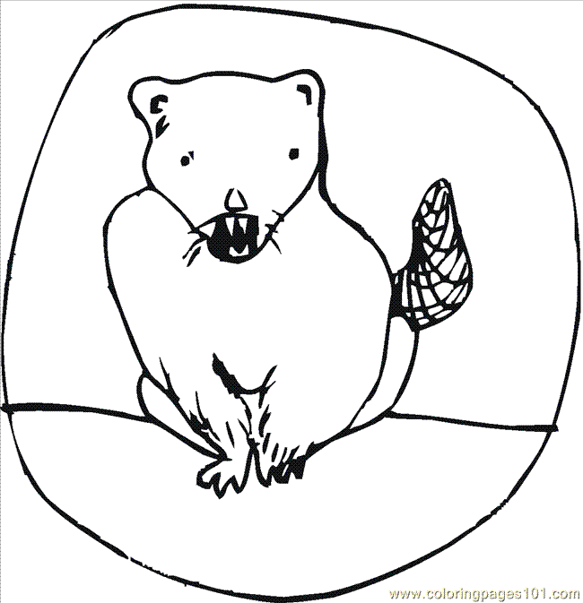 oregon state beavers coloring pages - photo #3