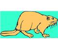 Beaver 2 Coloring Page