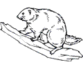 Beaver 9 Coloring Page