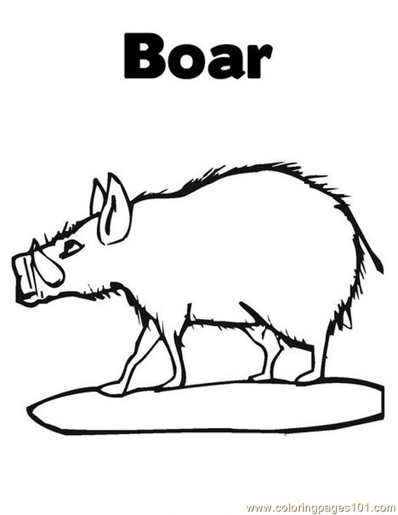 Coloring Pages Boar.. (Mammals > Boar) - free printable coloring page