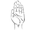 Hand 47