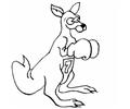 Boxing Kangaroo
