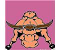 Bull2