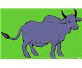 Bull 3