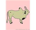 Ox
