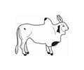 Ox