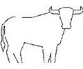 Th Bull