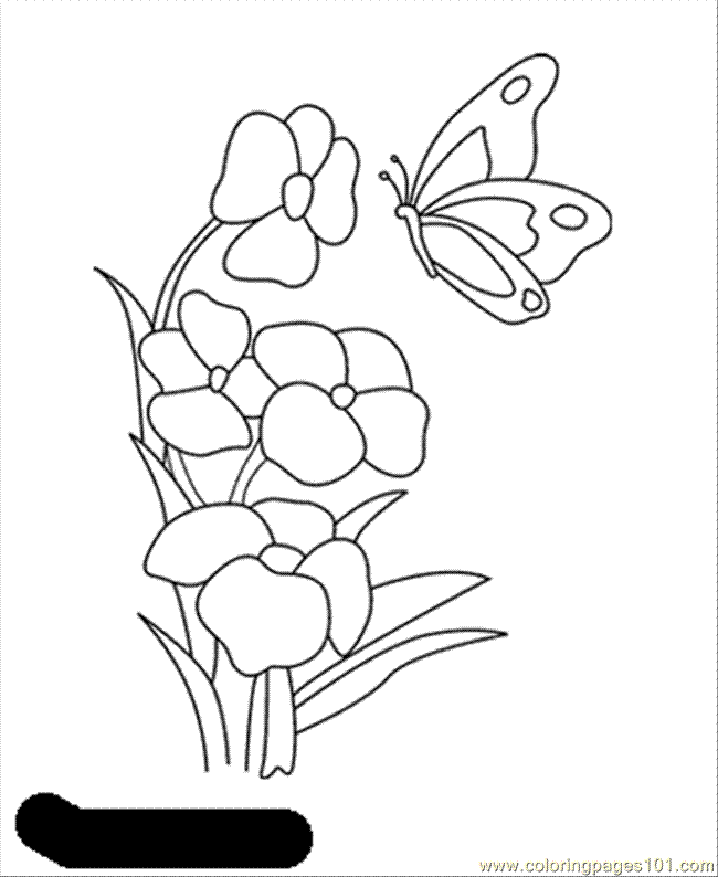 yellow rose coloring pages - photo #9
