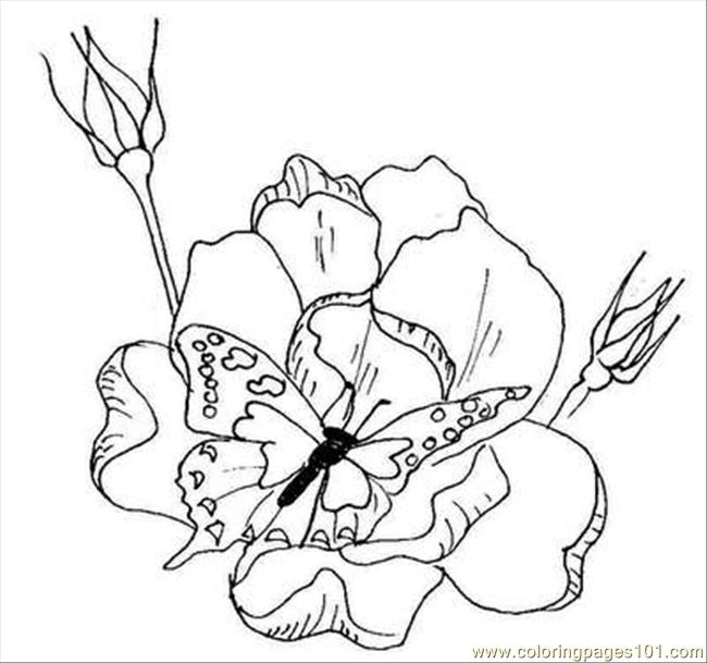 free coloring pages of flowers and butterflies. Flowers Coloring Pages L