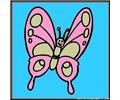 Butterfly81