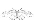 Coloring Pages Butterfly (2) (Insects > Butterfly) - free printable
