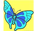 Butterfly 5 Coloring Page